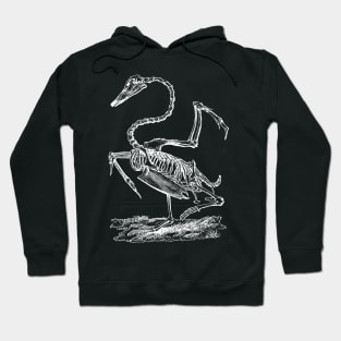 Swan Skeleton Hoodie